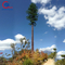 Disguised Pine Tree Galvanized Gsm Communication Tower Telecommunication Camouflage Monopole