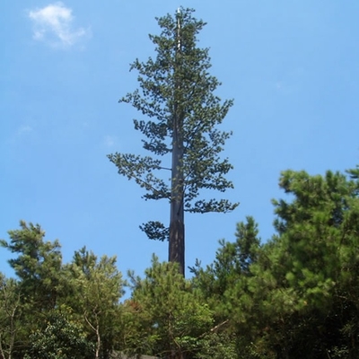 Telecommunication Antenna Camouflage Cell Towers Bionic Tree Communication Steel Structural