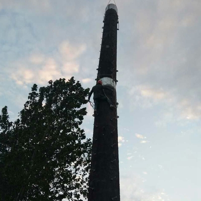 Pine Camouflage Cell Towers Hot Dipped A123 Fake Tree