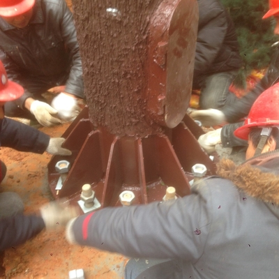 Palm Q345b 5g Tower Camouflage Disguised Tree 5g Tower