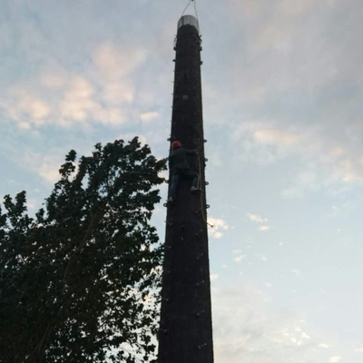 Q345 Galvanized Steel Camouflage Cell Towers Telecommunication Bionic Monopole Antenna